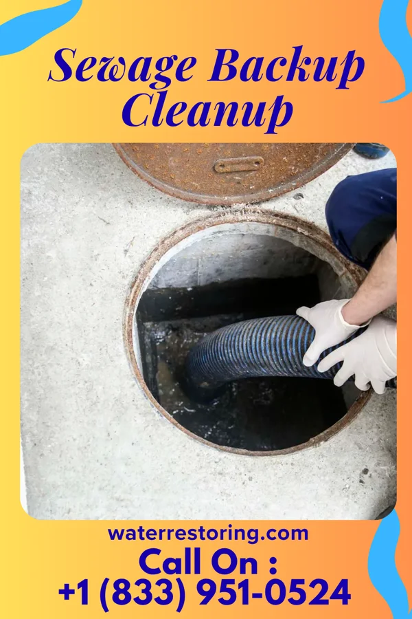 Sewage Backup Cleanup in Cimarron City, OK